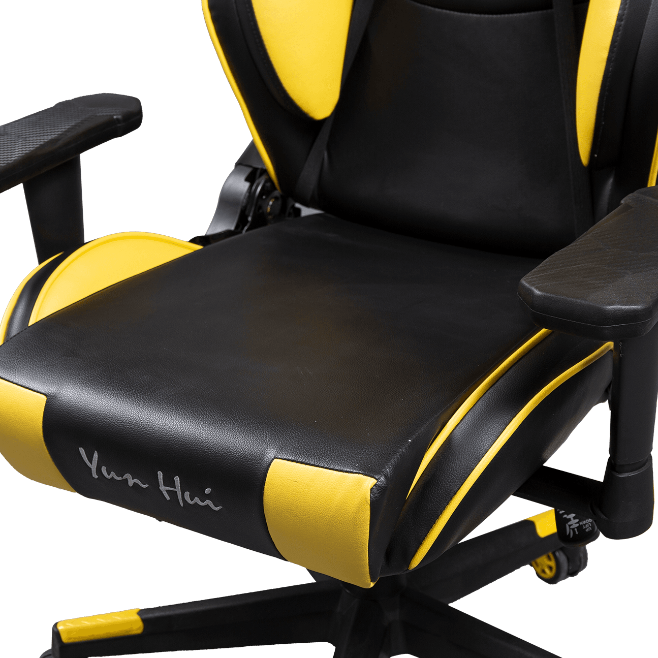 Plus Size Bee Style Gaming Cathedra 3D Adjustable Armrest Computer Gaming Chair For PC Computer Gmaer details